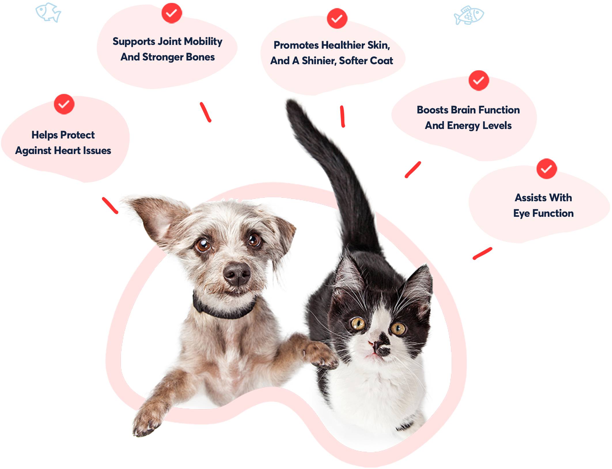 Salpet Benefits