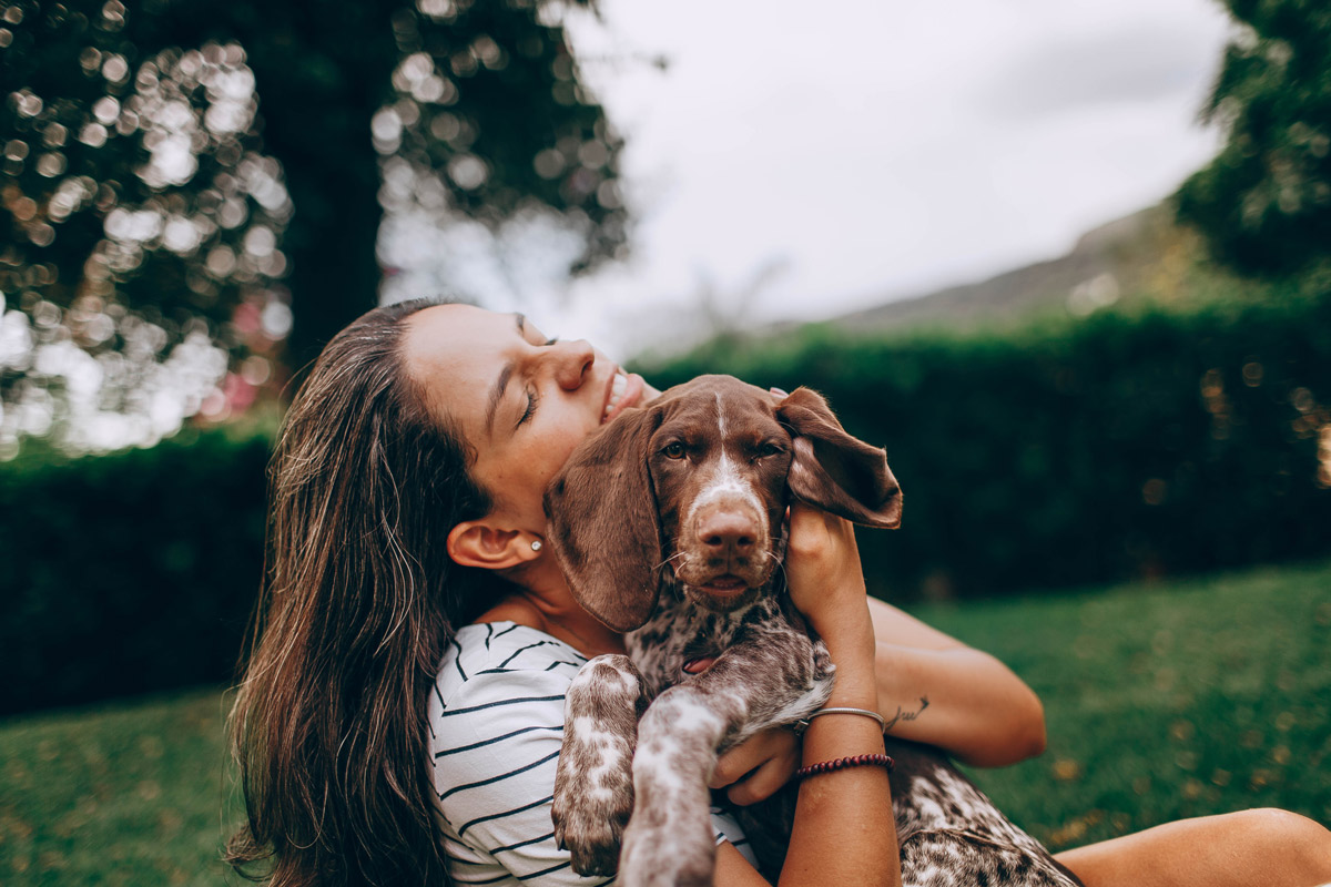 Dog and their owner