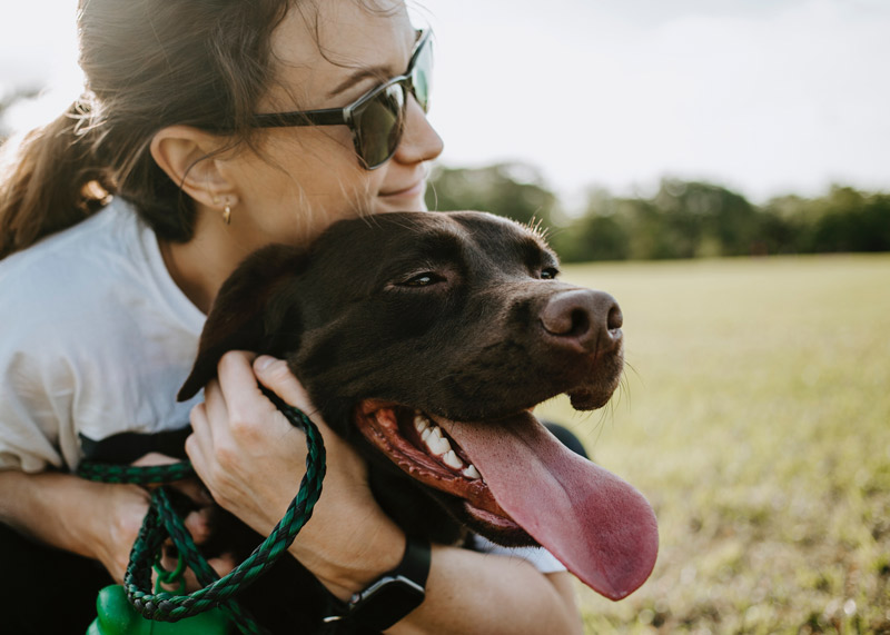 Owner hugging pet dog